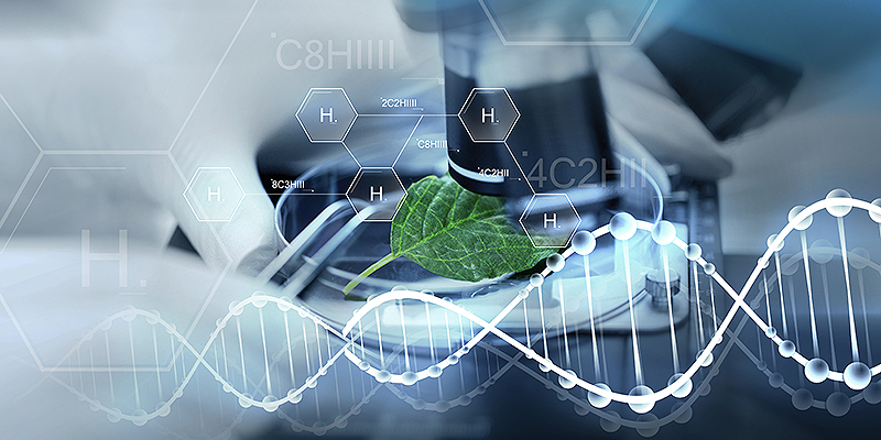 생명화학공학전공